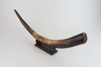 Restored mammoth tusk