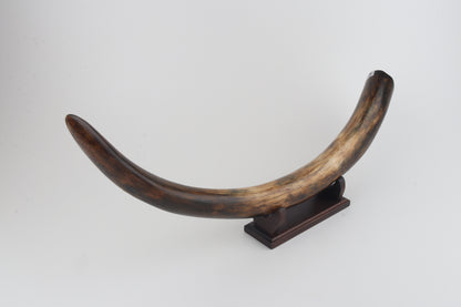 Restored mammoth tusk