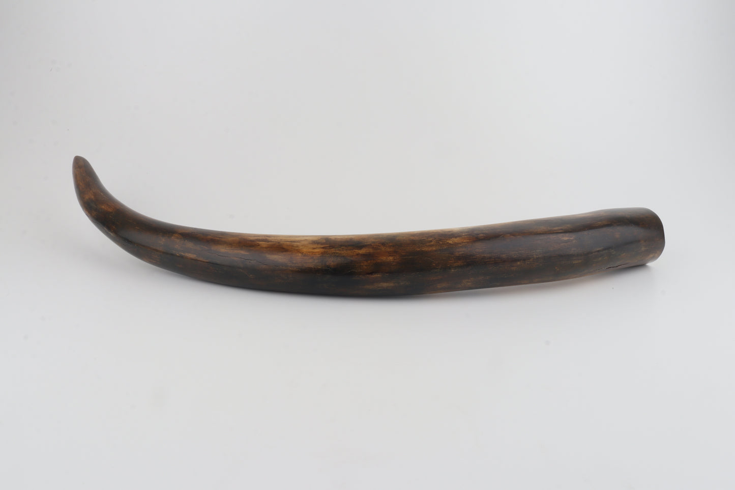 Restored mammoth tusk