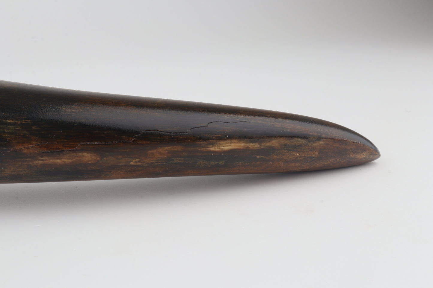 Restored mammoth tusk