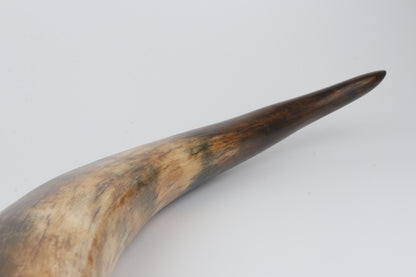 Restored mammoth tusk
