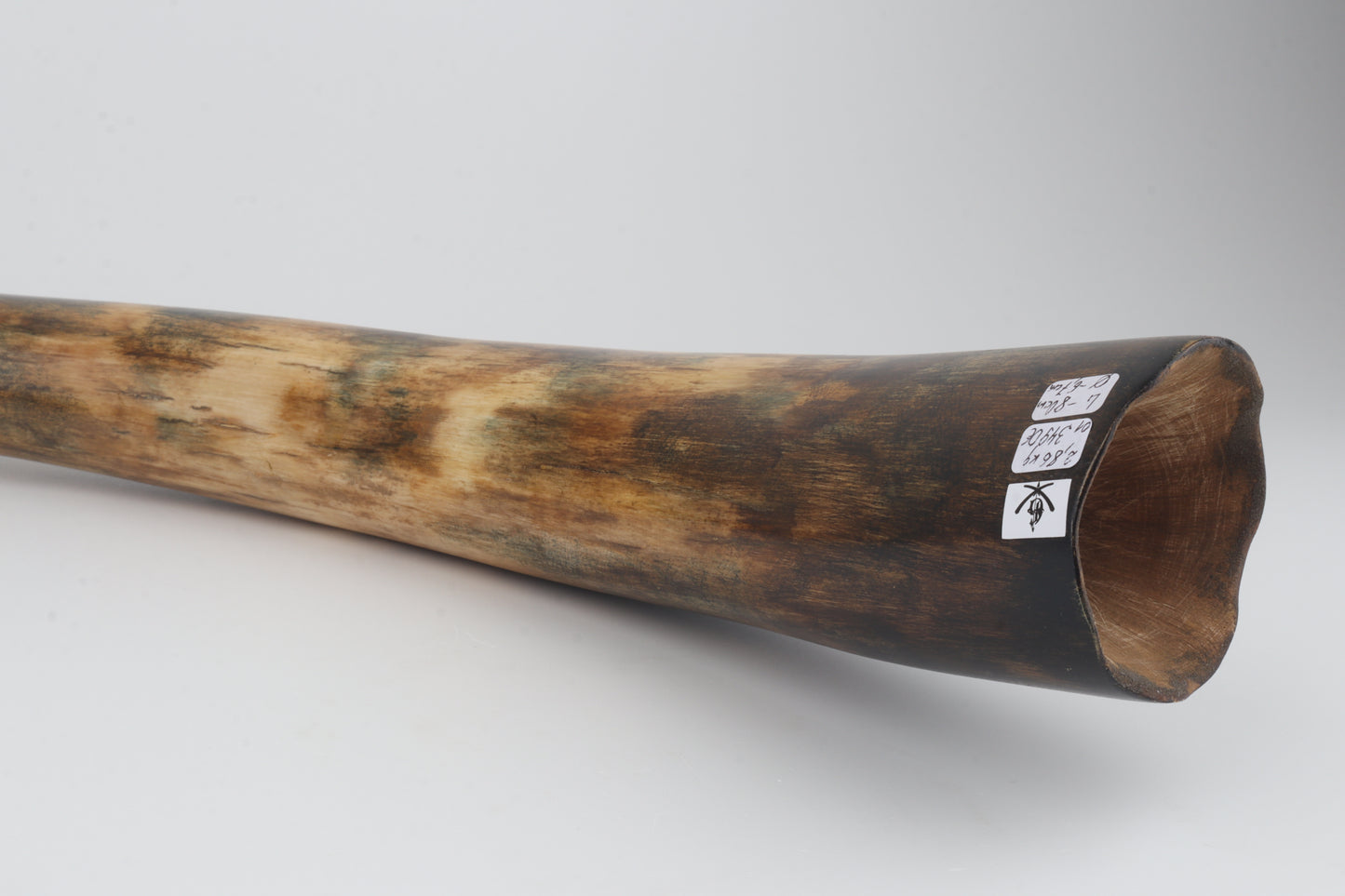 Restored mammoth tusk