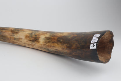 Restored mammoth tusk