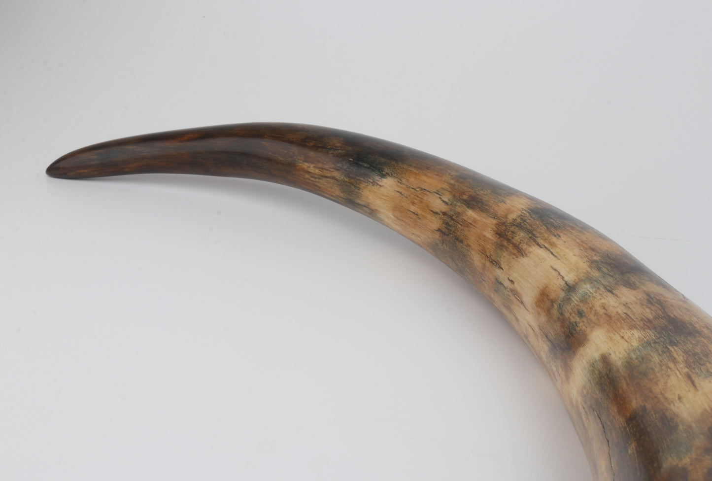 Restored mammoth tusk