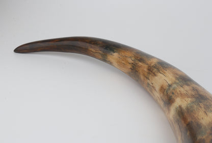 Restored mammoth tusk