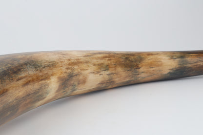Restored mammoth tusk
