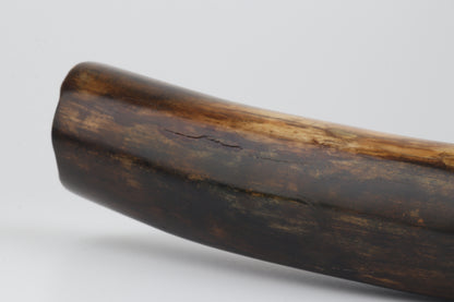 Restored mammoth tusk