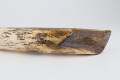 Restored woolly mammoth tusk tip