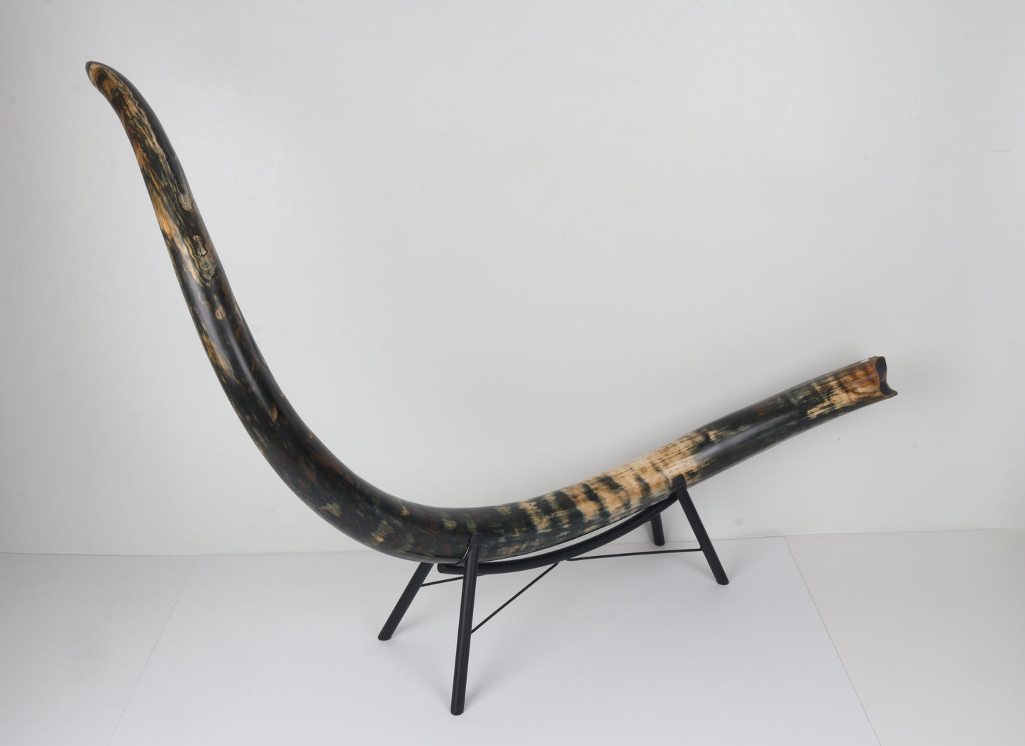 Restored Siberian Woolly Mammoth Tusk