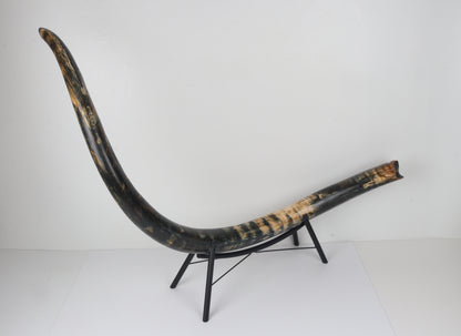 Restored Siberian Woolly Mammoth Tusk