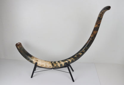 Restored Siberian Woolly Mammoth Tusk