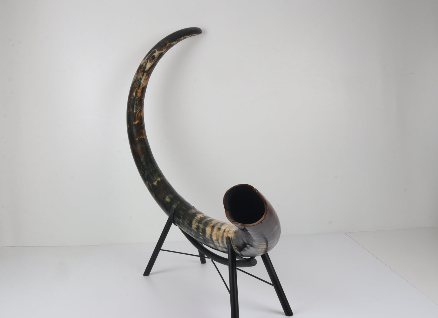Restored Siberian Woolly Mammoth Tusk