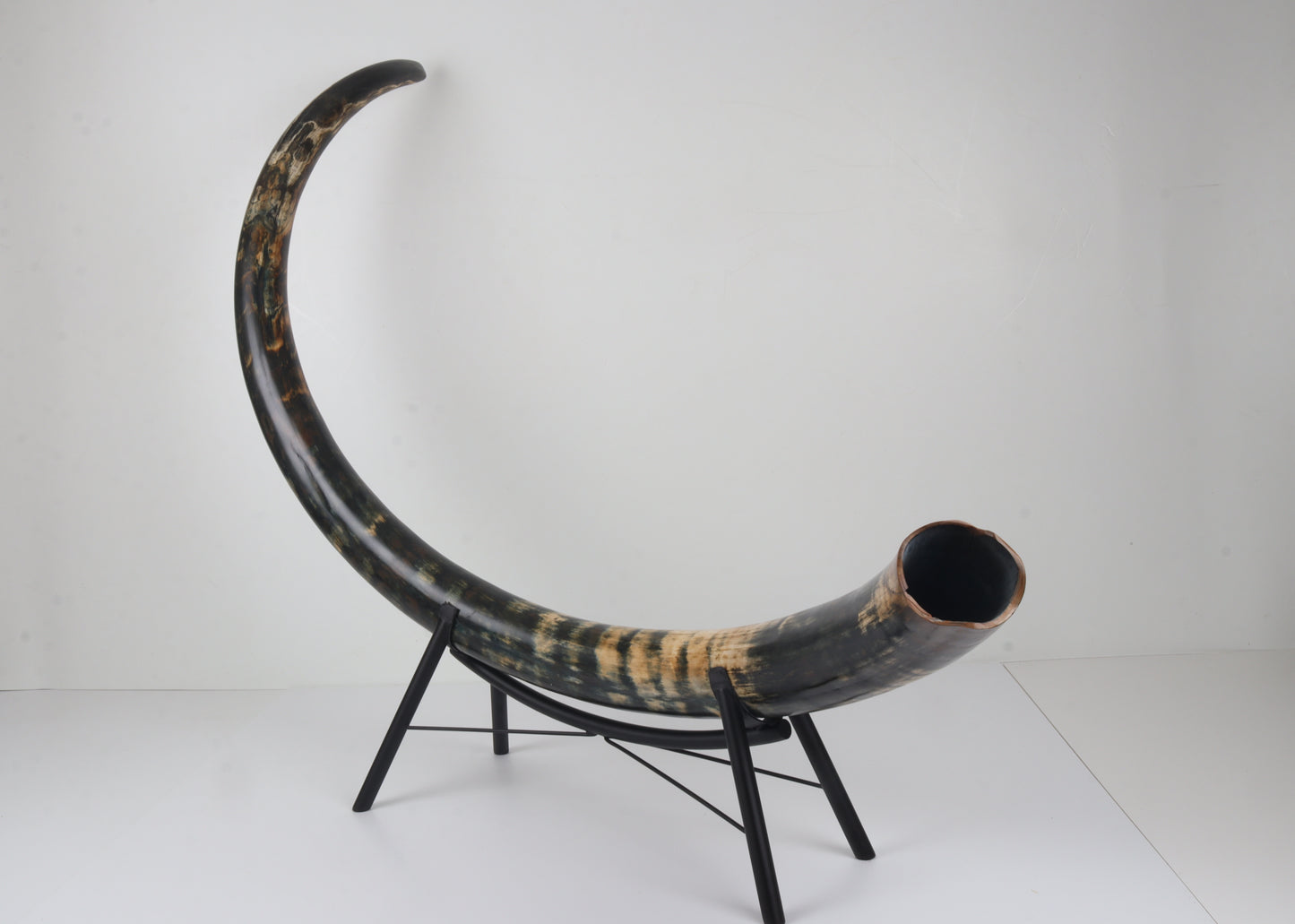 Restored Siberian Woolly Mammoth Tusk