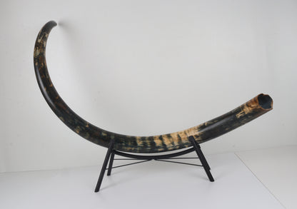 Restored Siberian Woolly Mammoth Tusk