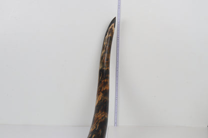 Restored Siberian Woolly Mammoth Tusk