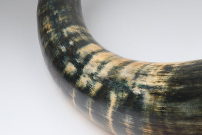 Restored Siberian Woolly Mammoth Tusk