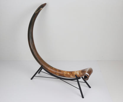 Restored Siberian Woolly Mammoth Tusk