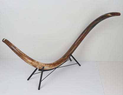 Restored Siberian Woolly Mammoth Tusk