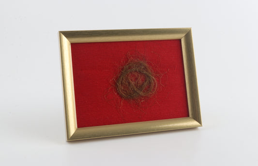 Genuine Wollly Mammoth Hair