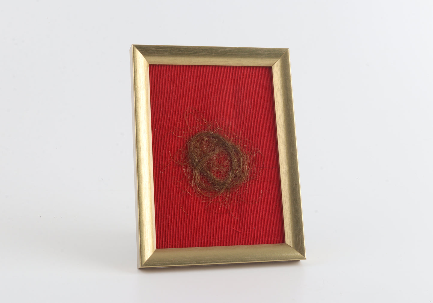 Genuine Wollly Mammoth Hair