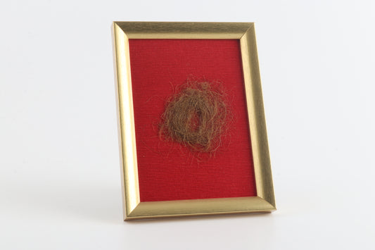 Authentic Woolly Mammoth Hair