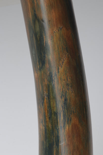 Restored Siberian Woolly Mammoth Tusk
