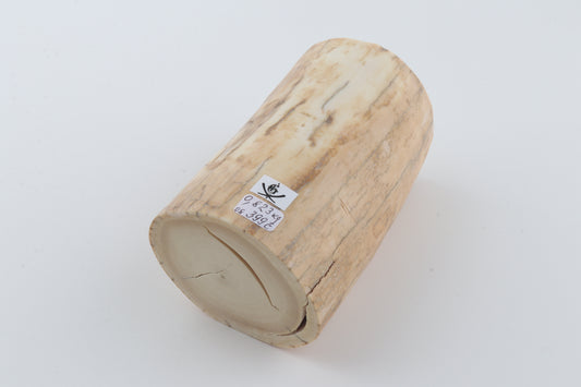 Round woolly mammoth ivory piece