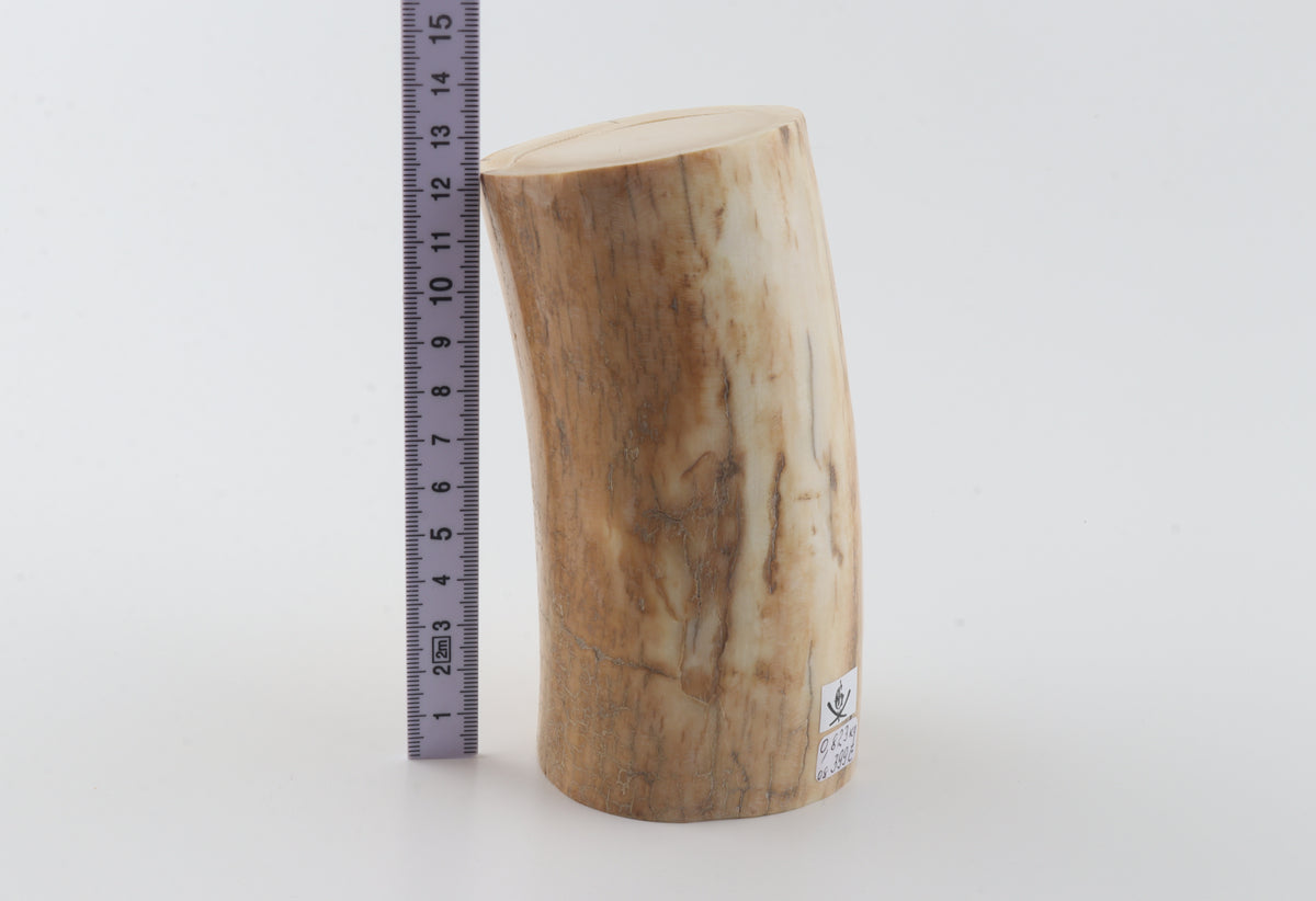Round woolly mammoth ivory piece