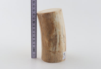 Round woolly mammoth ivory piece