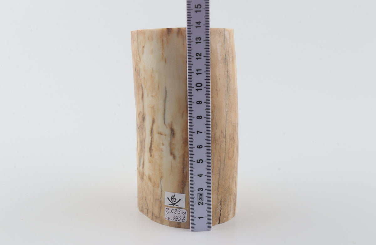 Round woolly mammoth ivory piece