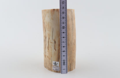 Round woolly mammoth ivory piece