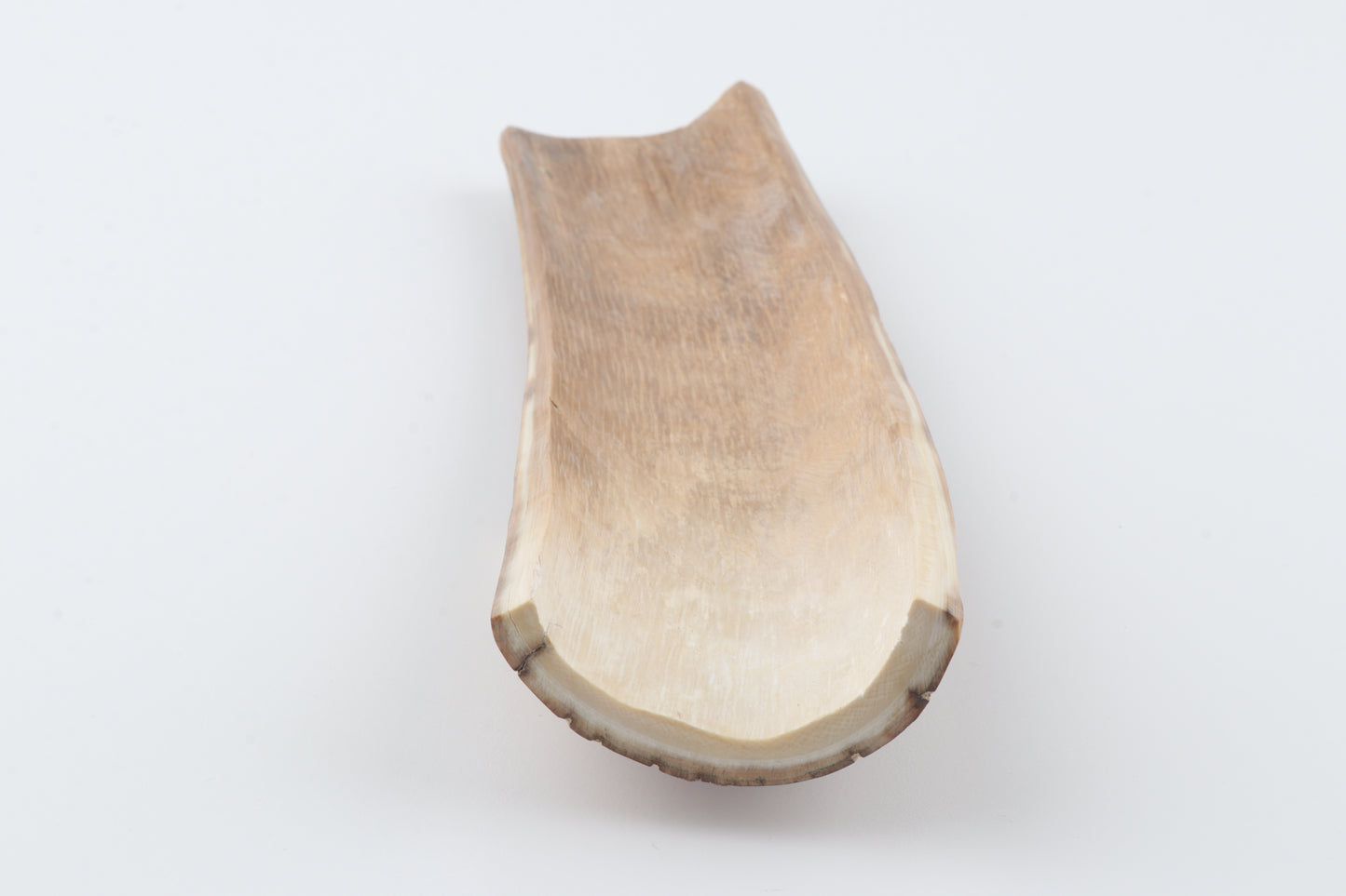 Caramel-brown mammoth bark