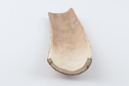 Caramel-brown mammoth bark