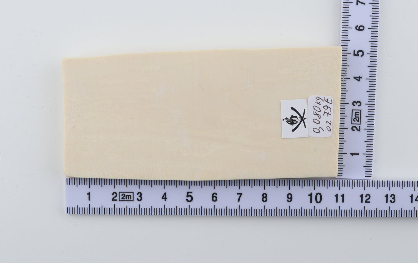 White mammoth ivory segment