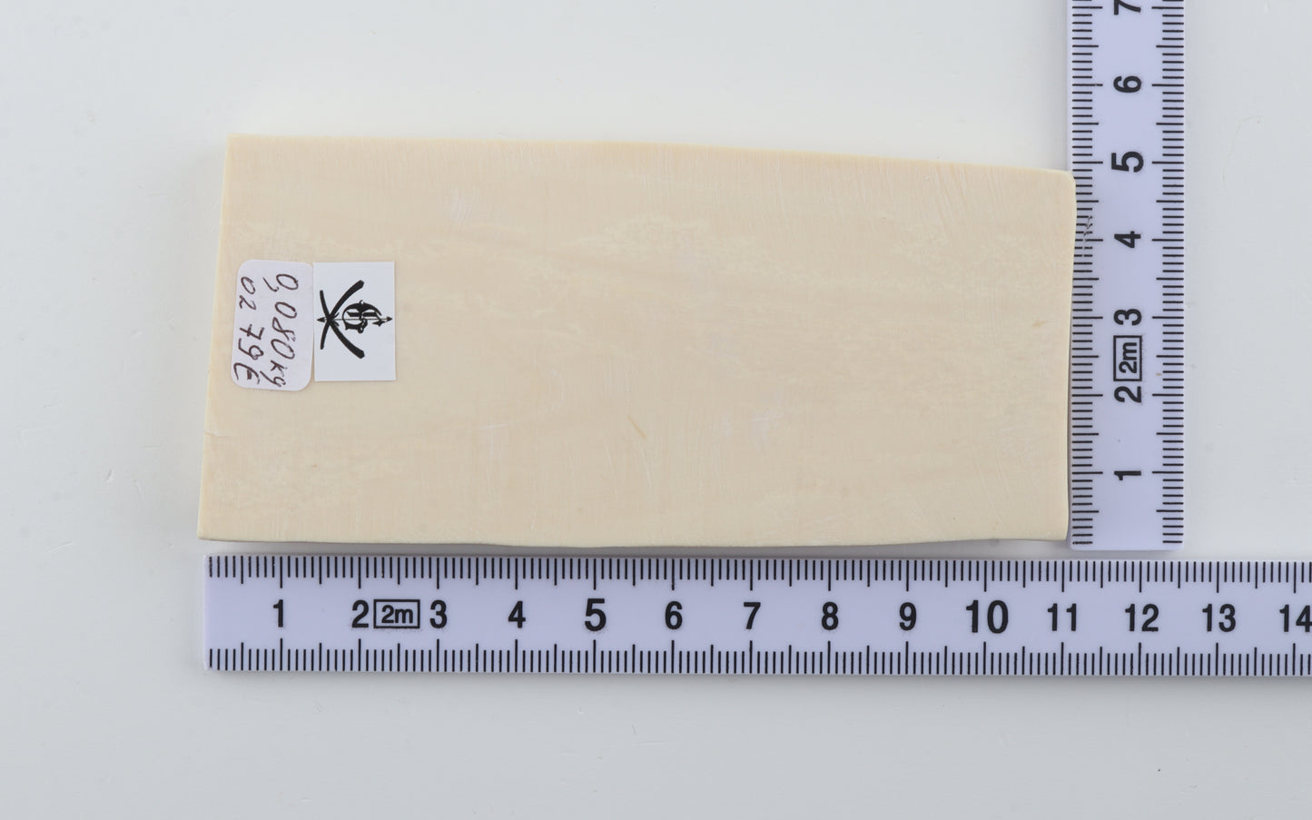 White mammoth ivory segment