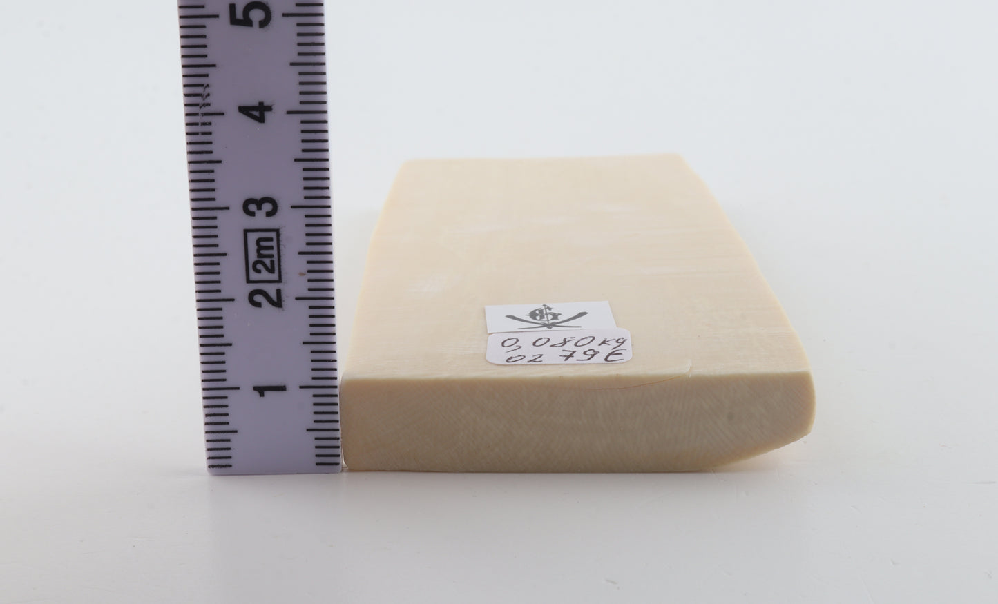 White mammoth ivory segment