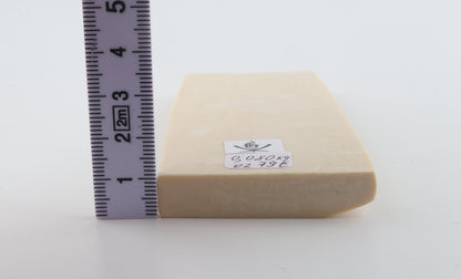 White mammoth ivory segment