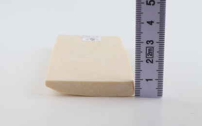 White mammoth ivory segment