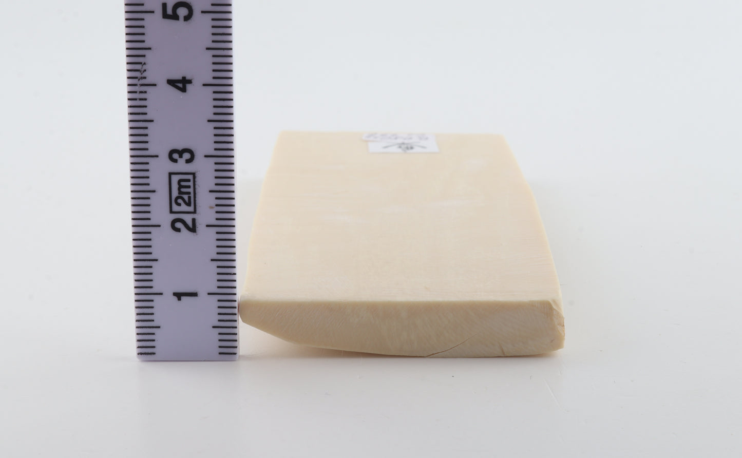 White mammoth ivory segment