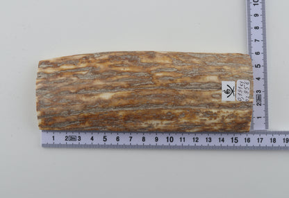 Beige-orange mammoth bark