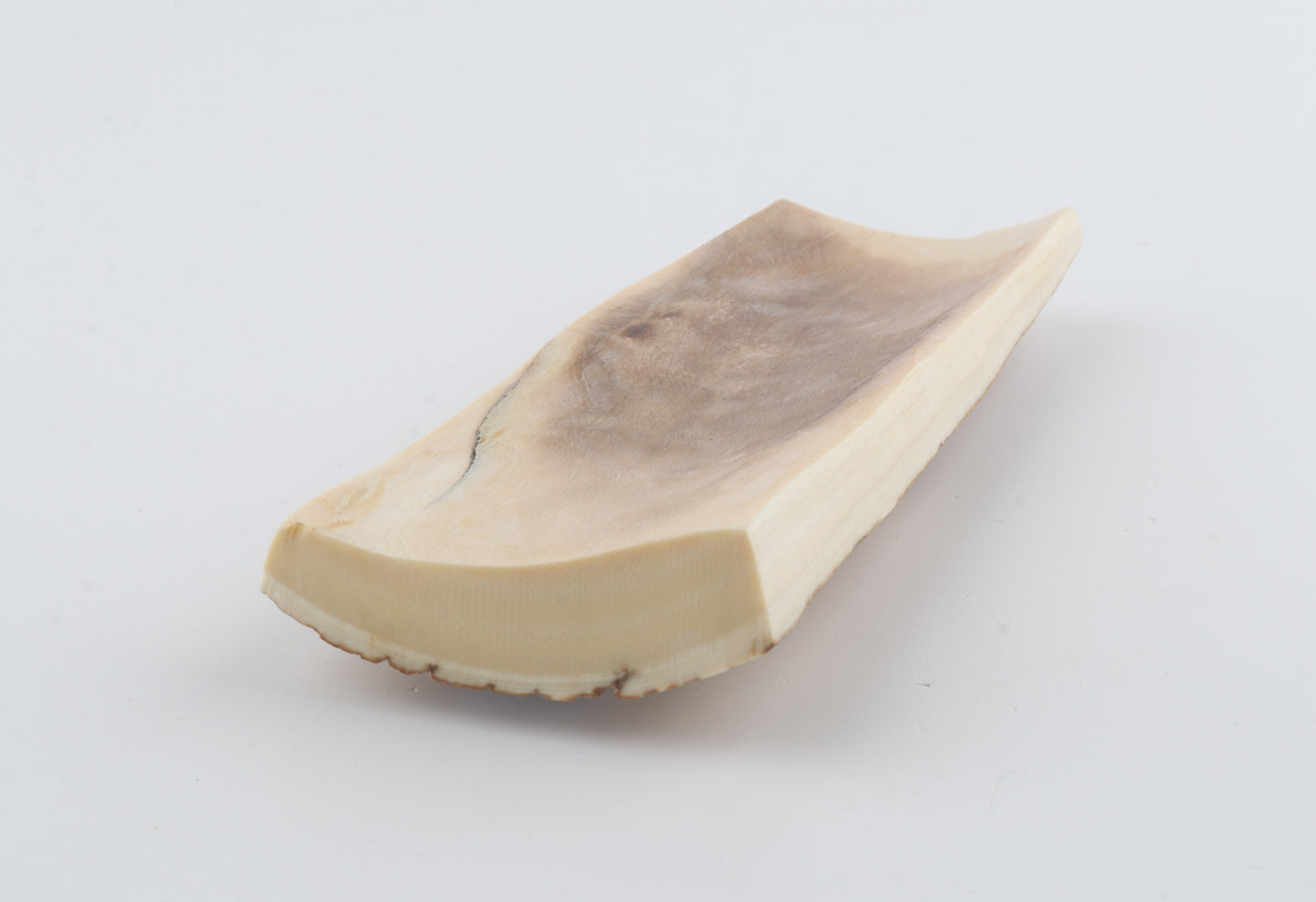 Beige-orange mammoth bark