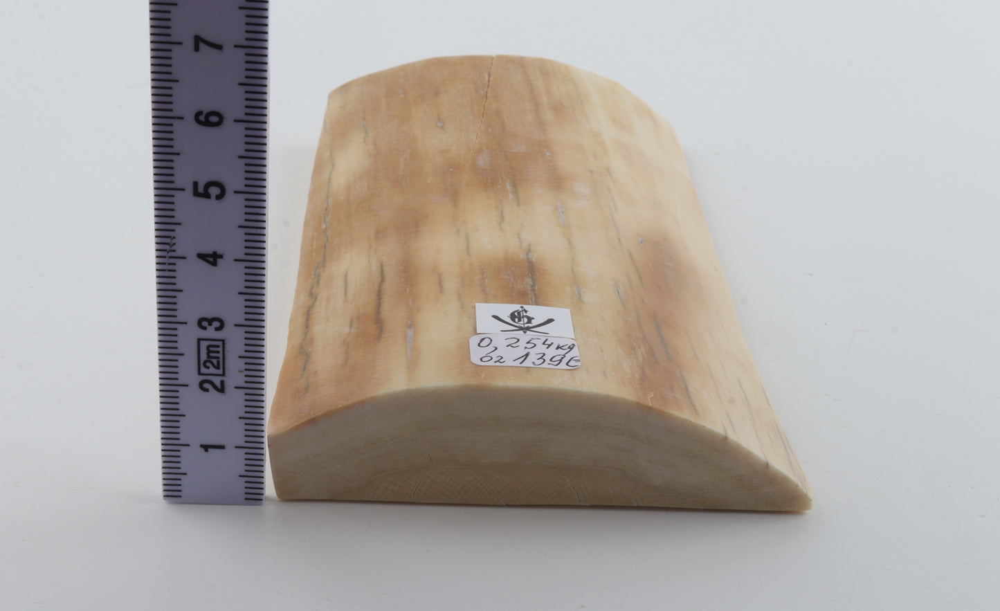 Creme-orange mammoth bark