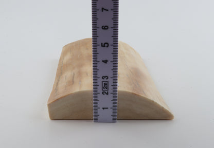 Creme-orange mammoth bark