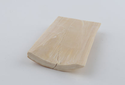 Creme-orange mammoth bark