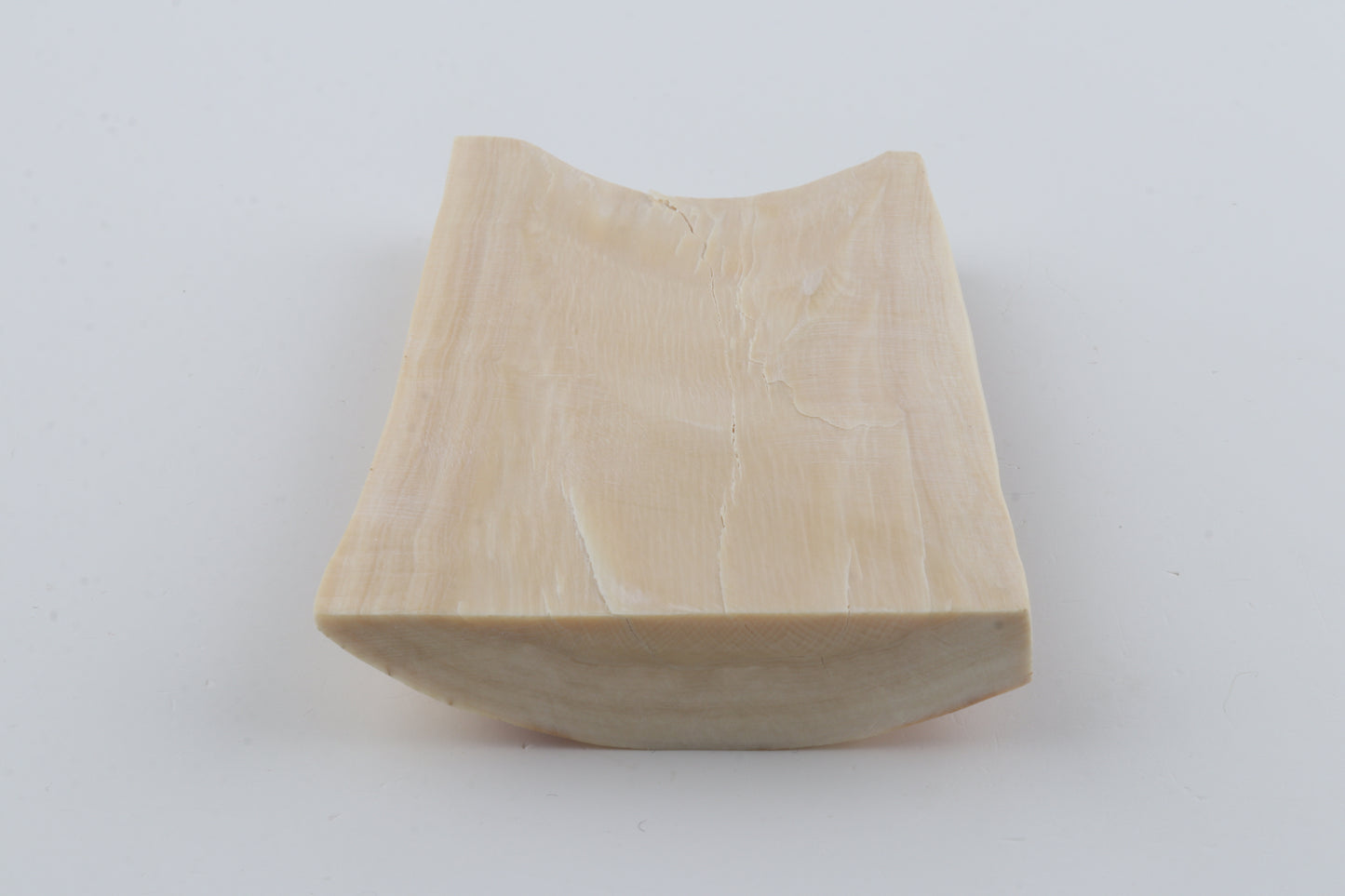 Creme-orange mammoth bark