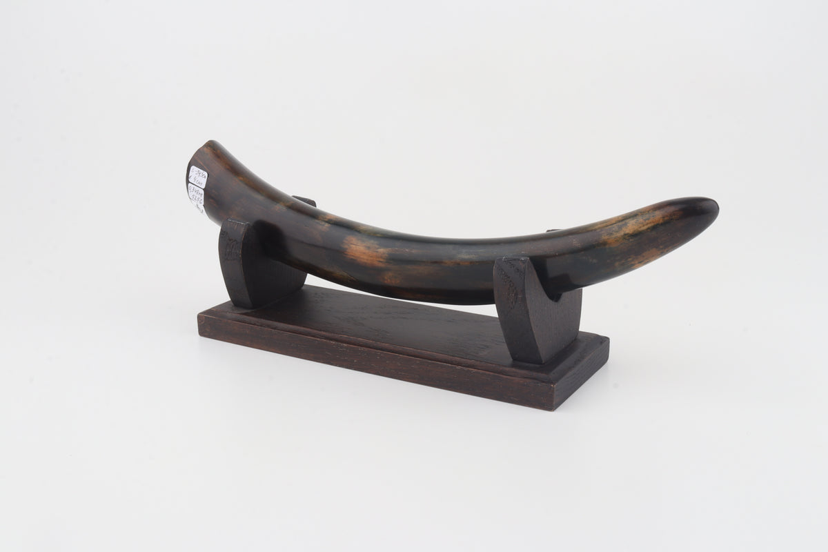 Restored woolly mammoth tusk