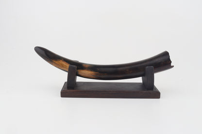 Restored woolly mammoth tusk