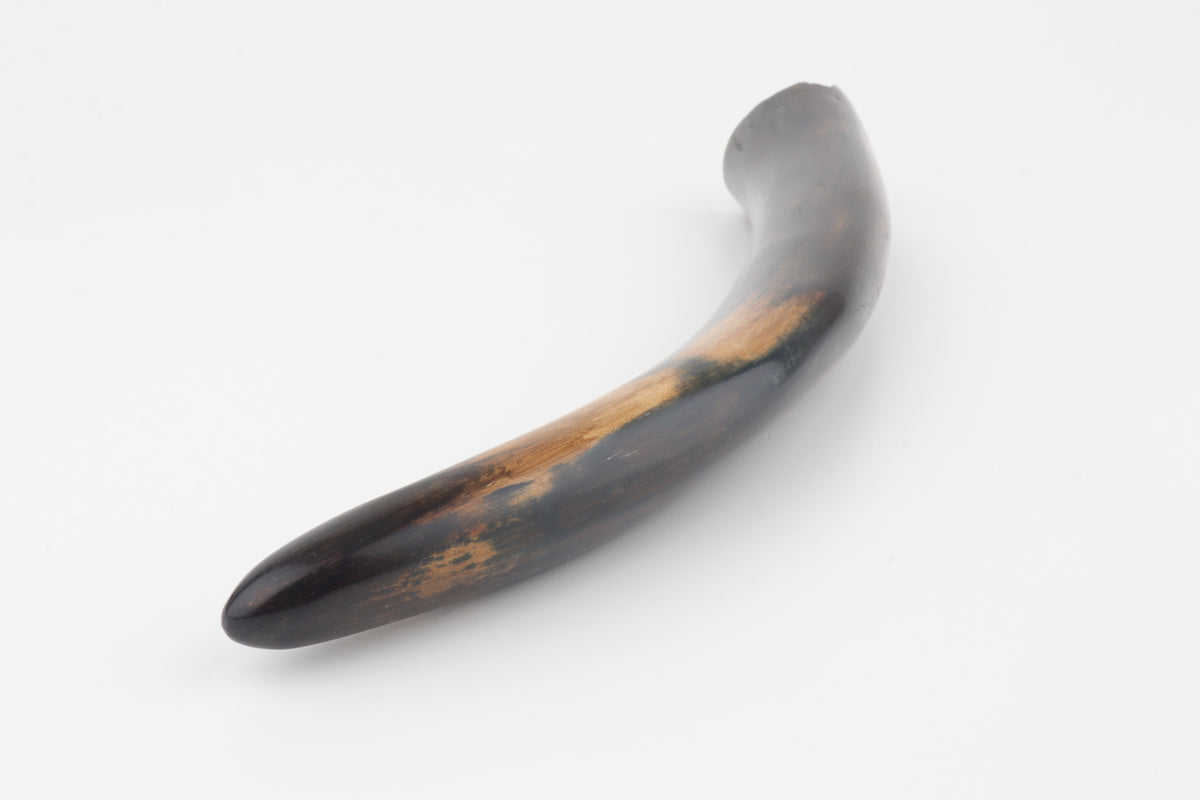 Restored woolly mammoth tusk