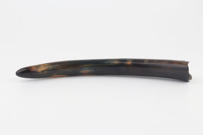 Restored woolly mammoth tusk