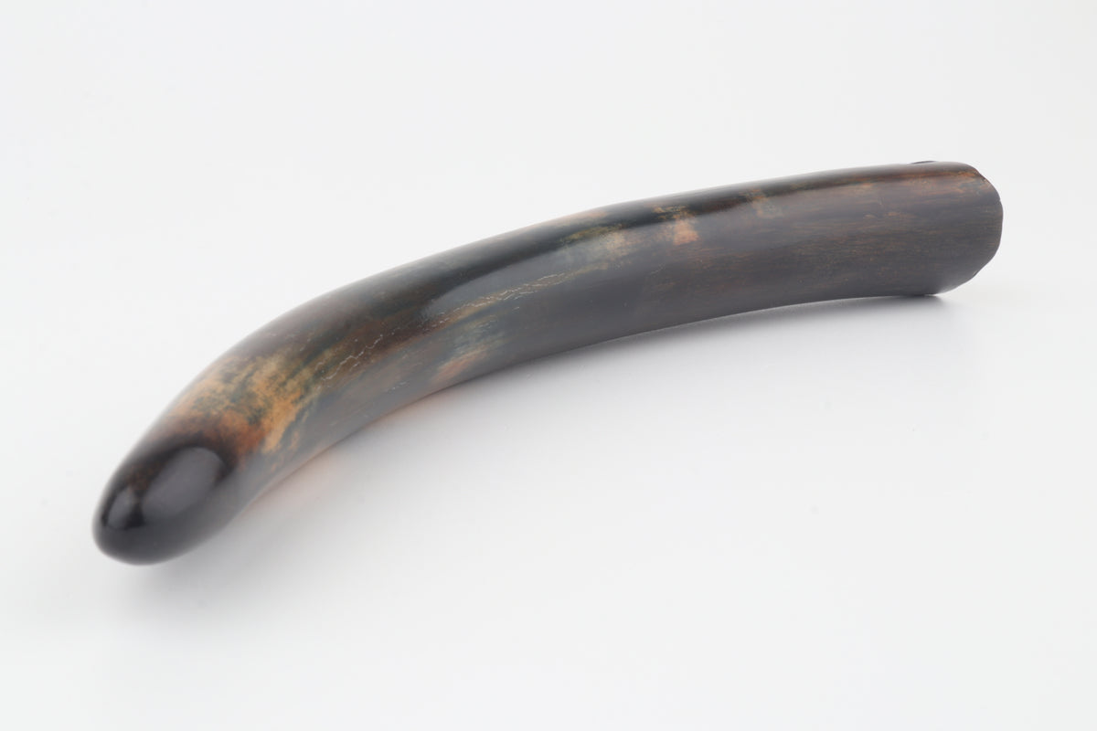 Restored woolly mammoth tusk